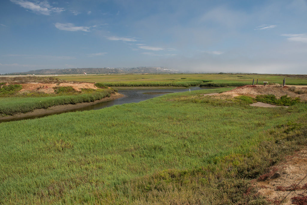 River passing the Tijuana Estuary visitor center