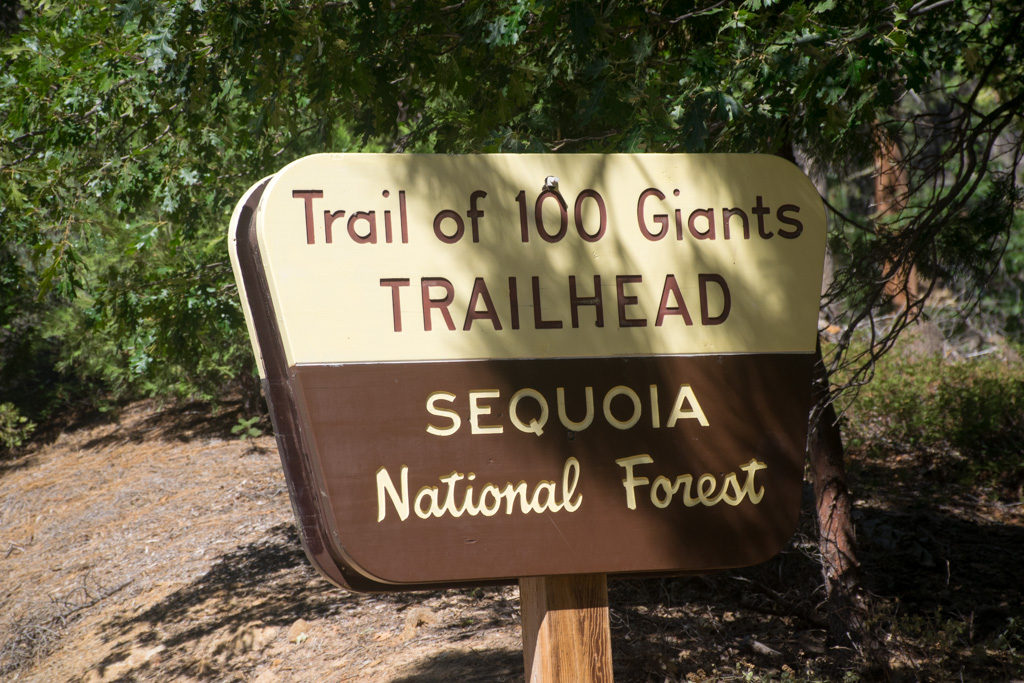 Trail-head sign at Trail of 100 Giants